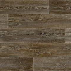 Vinyl A1 FAMILY STYLE DOMO 2151