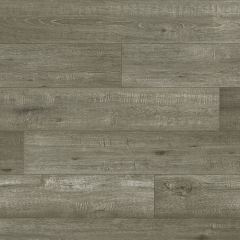 Vinyl A1 FAMILY STYLE SKARWOOD 2433