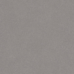 Vinyl A1 X-PRO MASTER X 2979