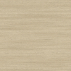Vinyl A1 X-PRO MASTER X 2891