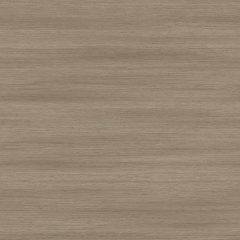 Vinyl A1 X-PRO MASTER X 2892