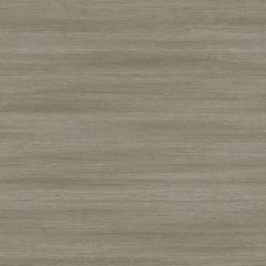 Vinyl A1 X-PRO MASTER X 2893